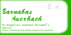 barnabas auerbach business card